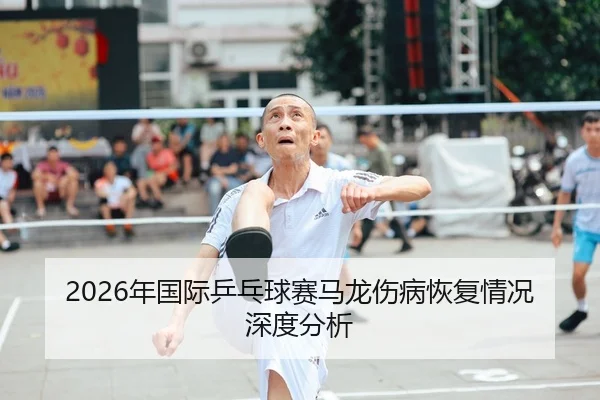 2026年国际乒乓球赛马龙伤病恢复情况深度分析