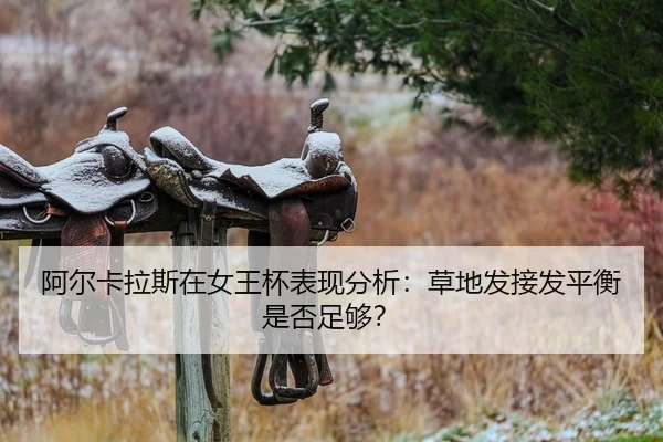 a-er-ka-la-si-zai-nv-wang-bei-biao-xian-fen-xi-cao-di-fa-jie-fa-ping-heng-shi-fou-zu-gou-2-819.jpg