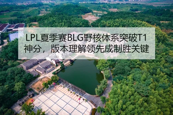 LPL夏季赛BLG野核体系突破T1神分，版本理解领先成制胜关键