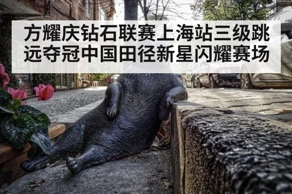 方耀庆钻石联赛上海站三级跳远夺冠中国田径新星闪耀赛场